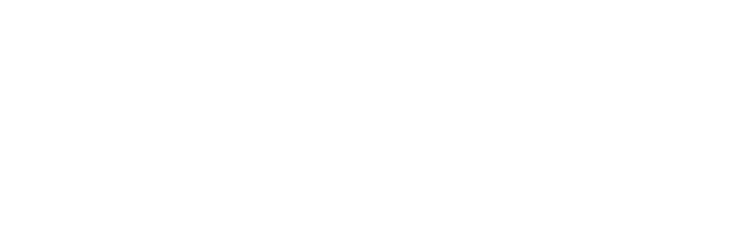 Complete Immigration Solutions, LLC
